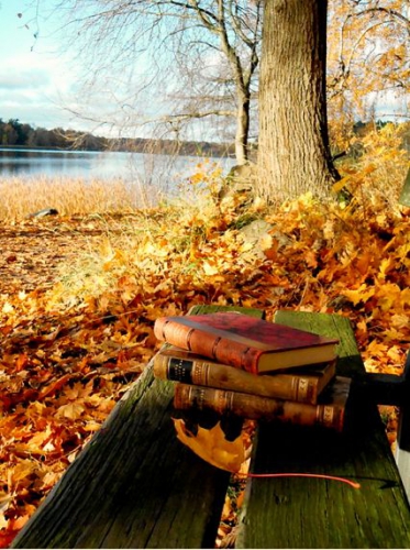 books autumn.jpg
